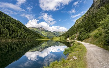 Reflection in the lake