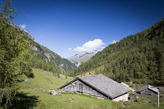 The Litzlhofalm in the Seidwinklvalley in the Hohe Tauern National Park