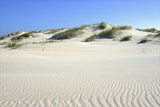 Dune landscape with wavelike structure in white sand