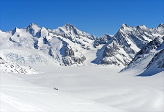 View from the Lotschenlucke over the snow-covered Grosser Aletschfirn towards Konkordiaplatz and the Bernese Alps