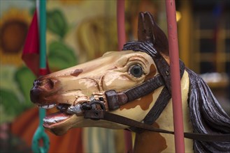 Horse head of a nostalgic children's carousel