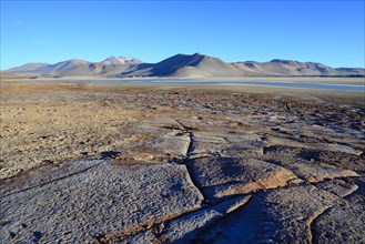 Lagune Salar de Talar mit den Bergen Cerros de Incahuasi