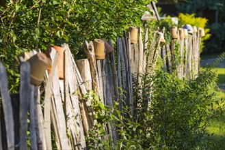 Paling fence decorated with flowerpots