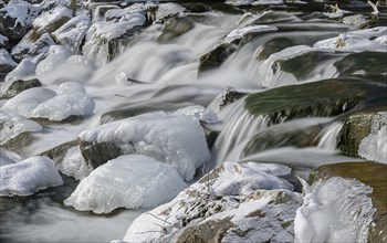 Ice-covered stones in the river bed of the Triesting