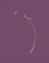 Artistic Japanese Zen illustration design of Dragonfly sitting on young bamboo stalk on dusty purple violet background