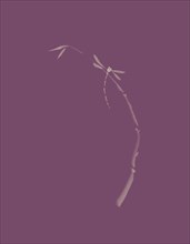 Artistic Japanese Zen illustration design of Dragonfly sitting on young bamboo stalk on dusty purple violet background