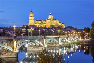 Cathedral with bridge over Tormes river