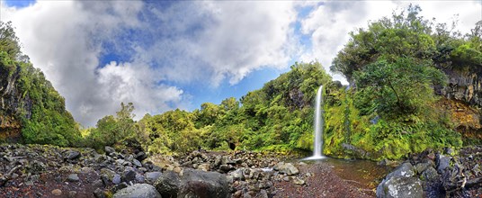 360 panoramic view of the Dawson Falls waterfall in the middle of a tropical rainforest