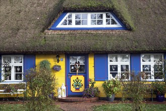 Typical yellow thatched-roof house