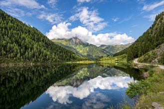 Reflection in the lake