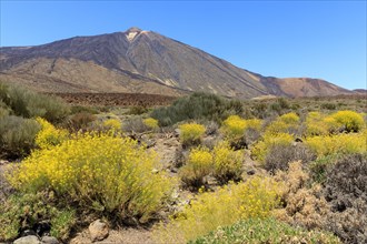 Volcano Pico del Teide