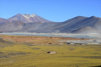 Lagune Salar de Talar mit kahlen Bergen Cerros de Incahuasi und Paso de Sica