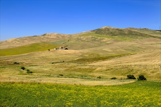 Grain fields near Contrada Sant' Agata
