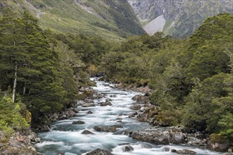 Hollyford River flows through Fiordland National Park
