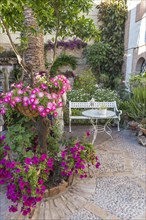Flowers in a courtyard with a garden bench