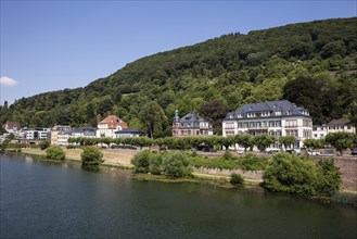 Houses on the banks of the Neckar