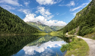 Reflection in the lake