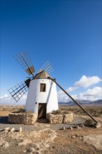 Typical windmill