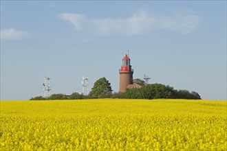 Lighthouse Buk with flowering rape field