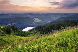 View from Feldberg mountain to lake Feldsee