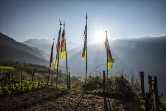 Buddhist prayer flags in front of Himalaya Mountains at sunrise