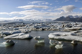 Small icebergs in glacial lake