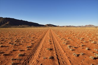 Sandtrack through desert landscape