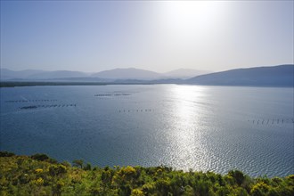 Lagoon of Butrint