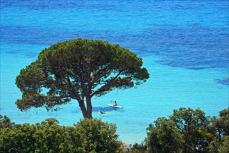 Palombaggia beach with turquoise blue sea