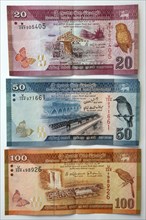 Bank notes