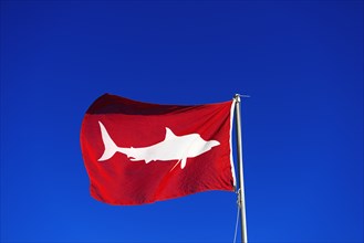 Red Flag signals high white shark danger