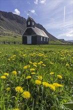 Small wooden church in Dandelion meadow