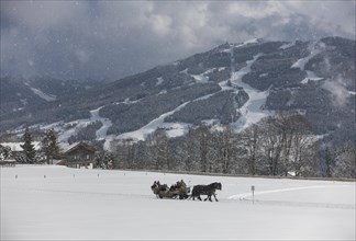 Horse-drawn carriage in snow