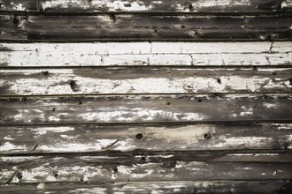 Close-up of old wooden grey and white painted barn wood planks