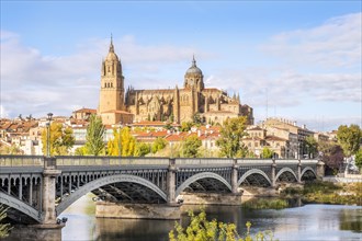 Cathedral with bridge over Tormes river