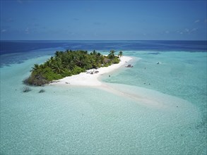 Tourists on uninhabited palm island