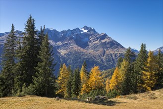 Autumnal mountain landscape