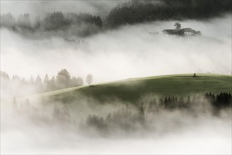 Mountain meadow with mountain farm and sea of fog