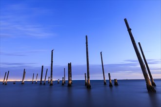Piles of a decayed pier in the water at dusk