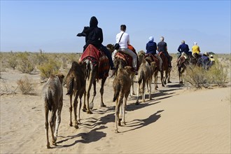 Tourists ride on camels