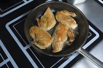 Chicken drumsticks roasted in a pan