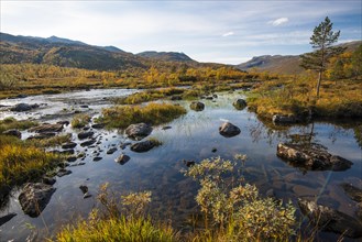 River through Anderdalen National Park