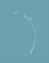 Artistic Japanese Zen illustration design of Dragonfly sitting on young bamboo stalk on light sky blue background