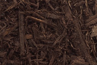 Tree bark and wood chips mulch used in horticulture closeup texture background