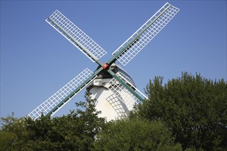 Windmill Betty