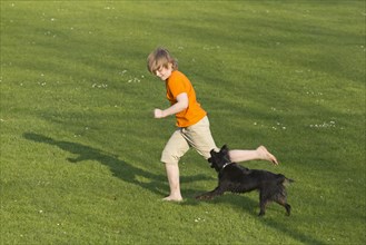 Boy runs with dog over a meadow