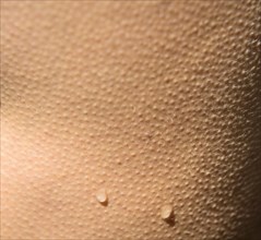 Goose bumps with drops of water