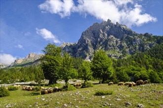 Kukaj Valley