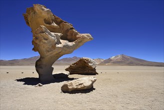 Rock formation Arbol de Piedra