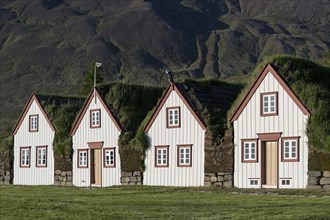 Old icelandic turf houses Laufas